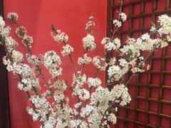 -恬阿姨庭院餐厅·生日宴