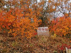 -北京鹫峰国家森林公园