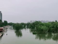-灞河西岸滨河公园