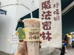 -猫的魔法密林(衣裳街店)