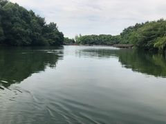 -白马涧龙池景区