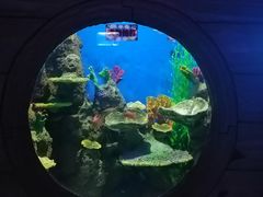 -石林冰雪海洋世界