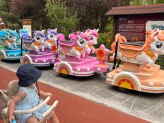 -大兴滨河森林公园