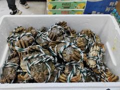 -牛奶便利(东四店)