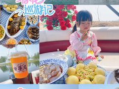 -白洋淀景区