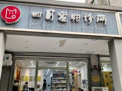 -四月宠物医院·猫专科·心脏专科·内科(转塘店)