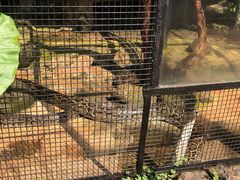 -海南热带野生动植物园