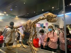 -北京周口店北京人遗址博物馆