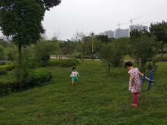 -飞来湖湿地公园