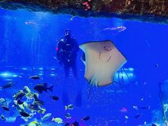 -沈阳海洋探索中心