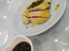 特色白切草母鸡-新名仕新白玉兰餐厅