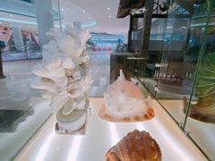 -春润大地海南椰子鸡(沙井京基百纳广场店)