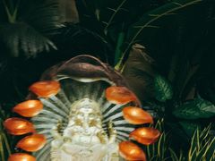 -富侨养生(康乾店)