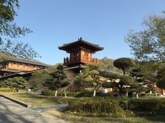 -习家池