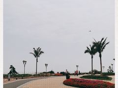 -野狸岛