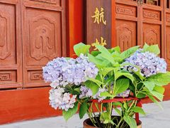 -钦赐仰殿道观