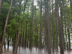 -东湖落雁景区