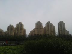 -前关湿地公园