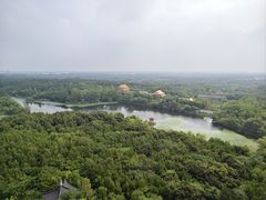 -江苏三台山国家森林公园