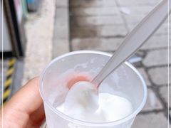 -洪馨椰子