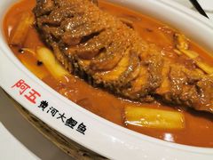 -阿五黄河大鲤鱼(海尚店)
