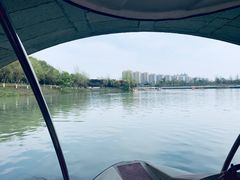 -八大山人梅湖景区