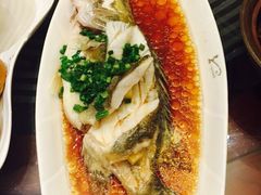 千岛湖钓鱼岛-千岛湖品鱼馆(钓鱼岛店)