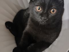 -一緒寿喜烧(包河万达店)