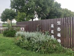 -莲花岛景区