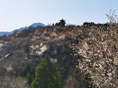 -白水寺森林公园