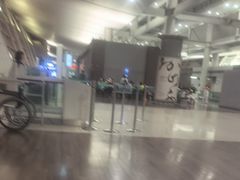 -乐天免税店(仁川国际机场店)