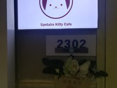 -楼上猫咖(罗湖店)