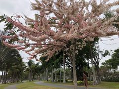 -深圳湾公园(南山区)
