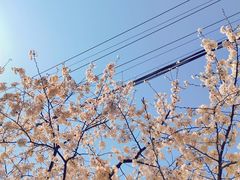 -永乐路-路侧停车场