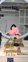 -飞梵造型