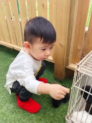 -萌宠亲子动物乐园(槐房万达店)