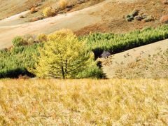 -塞罕坝国家级自然保护区