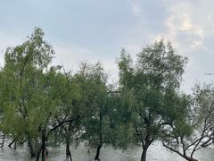 -宝安西湾红树林湿地公园