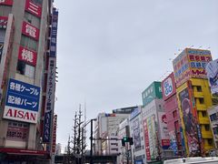 -秋叶原电器街