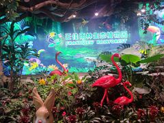 -正佳雨林生态植物园