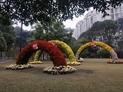 -温江公园
