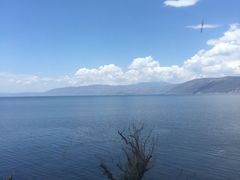 -大理无舍度假酒店