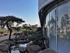 -罗红摄影艺术馆