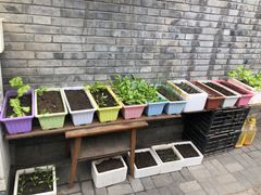 -百花深处胡同