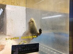 -大连圣亚海洋世界