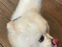 -小巨场咖啡