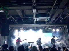 -坚果NUTS
