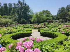 -上海共青森林公园