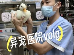 -立德异宠动物医院.兔鸟爬.内窥镜(天河店)