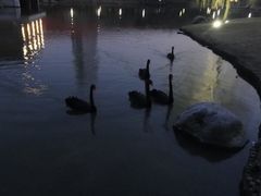 -中国浦东干部学院